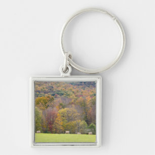 Hay bales and fall foliage, on a farm in key ring