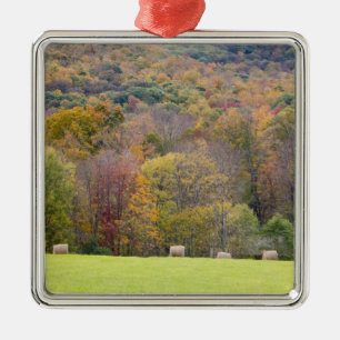 Hay bales and fall foliage, on a farm in metal tree decoration