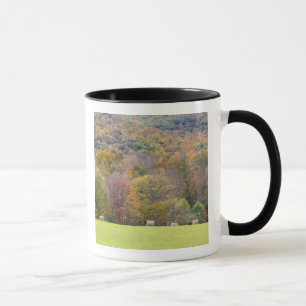Hay bales and fall foliage, on a farm in mug
