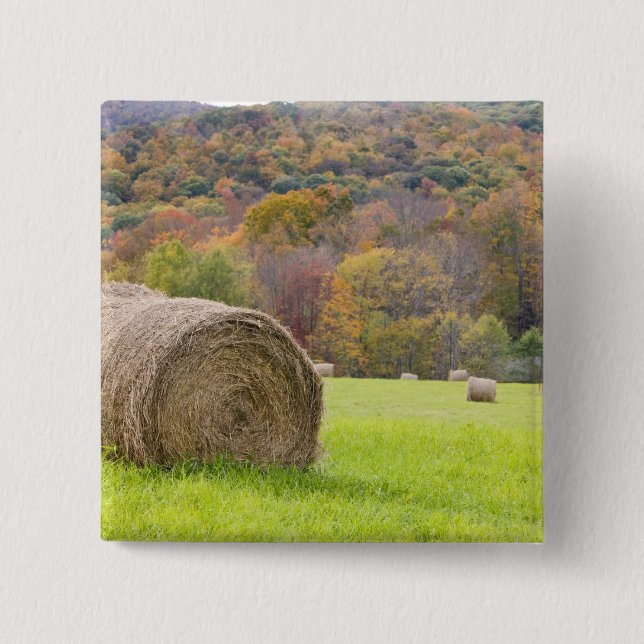 Hay bales and fall foliage on farm, 15 cm square badge (Front)