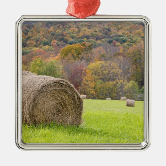 Hay bales and fall foliage on farm, metal tree decoration (Front)