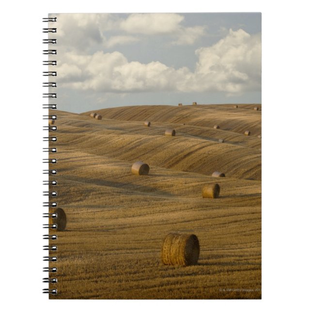 Hay bales and rolling landscape, Tuscany, Italy Notebook (Front)