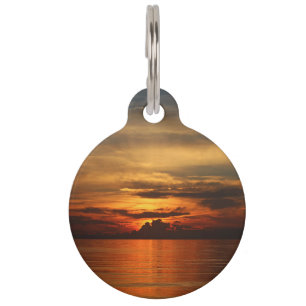 hay bales, colour, tree, autumn, farm, barn, field pet tag