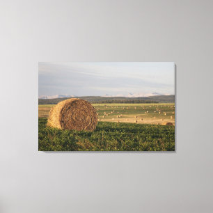 Hay Bales In A Field With Mountains At Sunrise Canvas Print