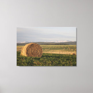 Hay Bales In A Field With Mountains At Sunrise Canvas Print