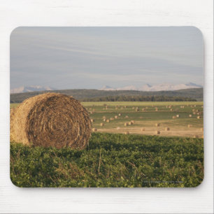 Hay Bales In A Field With Mountains At Sunrise Mouse Mat