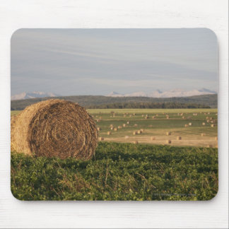 Hay Bales In A Field With Mountains At Sunrise Mouse Mat