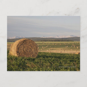 Hay Bales In A Field With Mountains At Sunrise Postcard