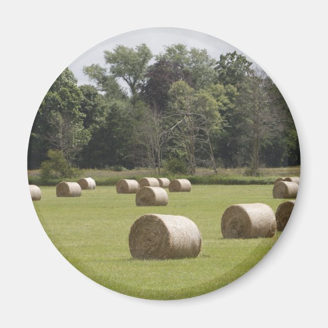 Hay bales magnet (Front)