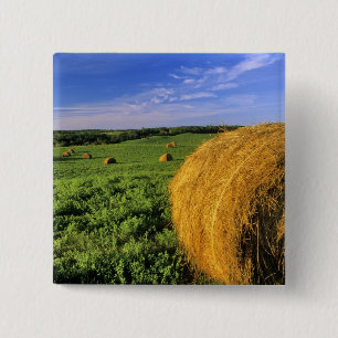 Hay Bales near Bottineau North Dakota 15 Cm Square Badge