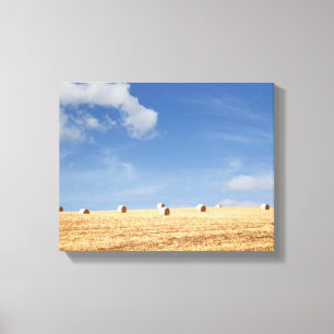 Hay Bales on Field Canvas Print