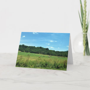 Hay Bales, Wytheville, Virginia Card