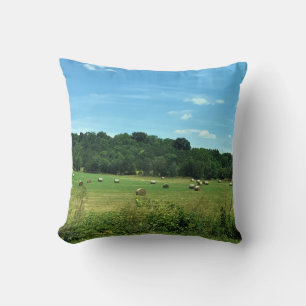 Hay Bales, Wytheville, Virginia Cushion