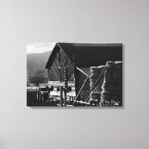 Hay Barn Canvas Print
