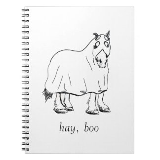 hay, boo journal