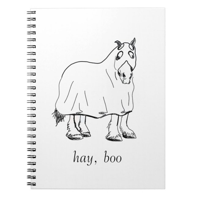 hay, boo journal (Front)