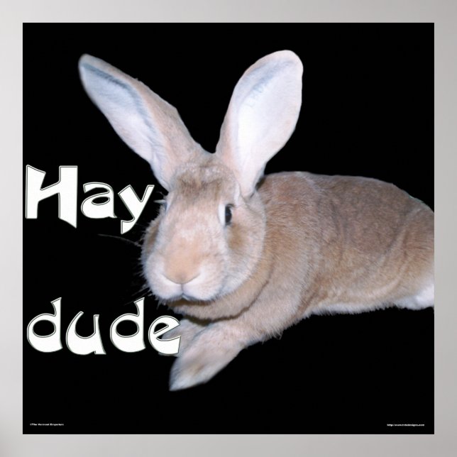 Hay Dude Poster (Front)