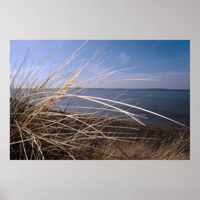 hay fever poster (Front)