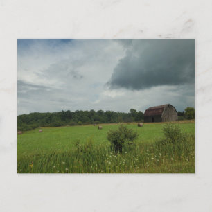 Hay field postcard