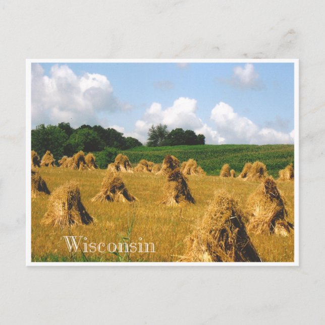 Hay Field Postcard (Front)