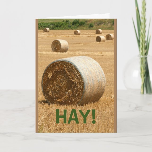 HAY! Get Well Soon Card (Front)