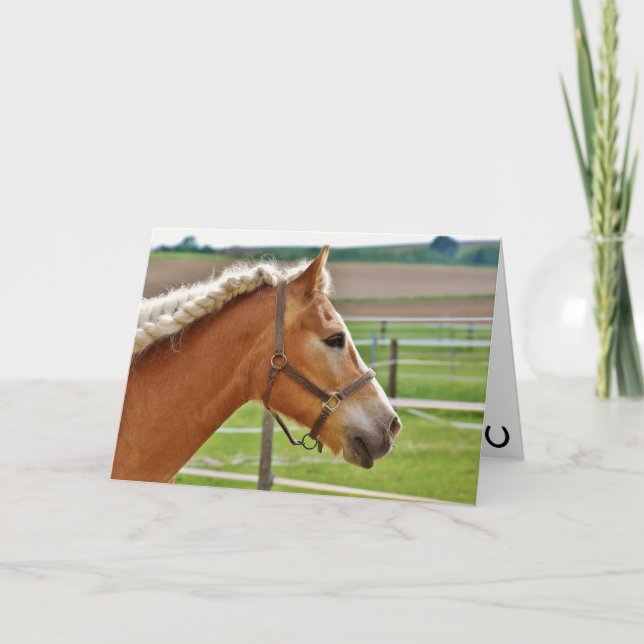 Hay Girl Happy Birthday Horse Card (Front)