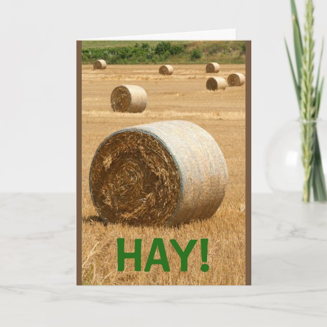 HAY!  Happy Birthday Card (Front)