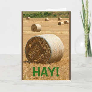 HAY! Happy Birthday Card