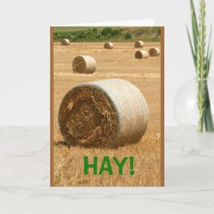 HAY!  Happy Father's Day Card