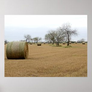Hay harvest poster