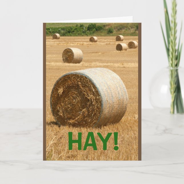 HAY! How Ya Been? Card (Front)