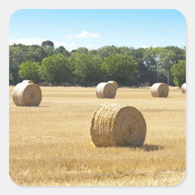 Hay in the Field, France Square Sticker (Front)