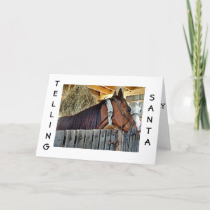 HAY, MISTLETOE / "YOU" IS ALL I WANT FOR CHRISTMAS HOLIDAY CARD