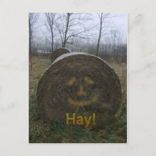 Hay! Postcard