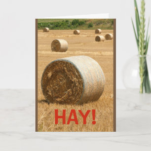HAY! Would You Be My Valentine? Card
