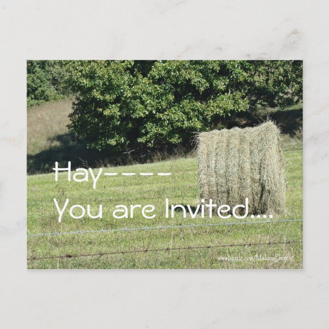 Hay-You are Invited....customise Invitation Postcard (Front)