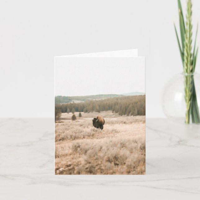 Hayden Valley -- 4" x 5.6" Notecard (Front)