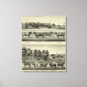 Hayes, Olathe, and Ellis Residence and Farm Canvas Print