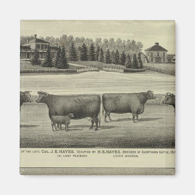 Hayes, Olathe, and Ellis Residence and Farm Magnet (Front)