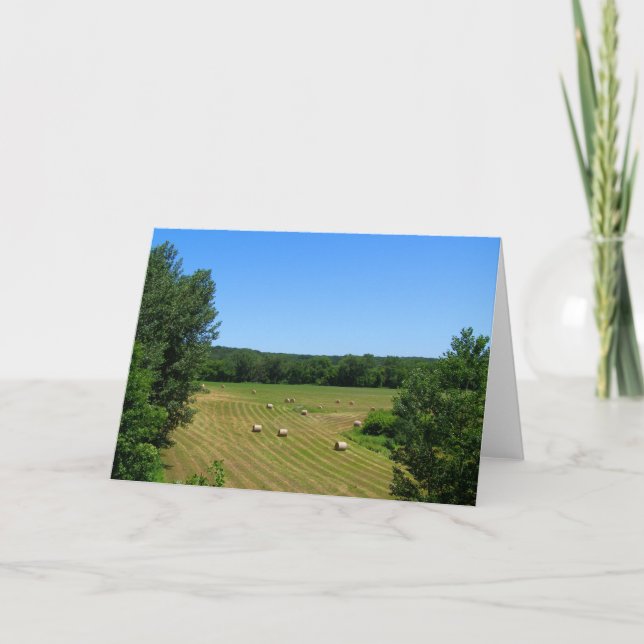 Haying in the valley rural MN farm landscape photo Card (Front)