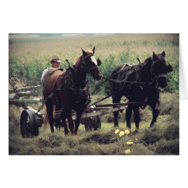 Haying Time (Front Horizontal)