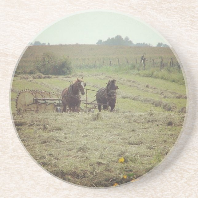 Haying Time Coaster (Front)