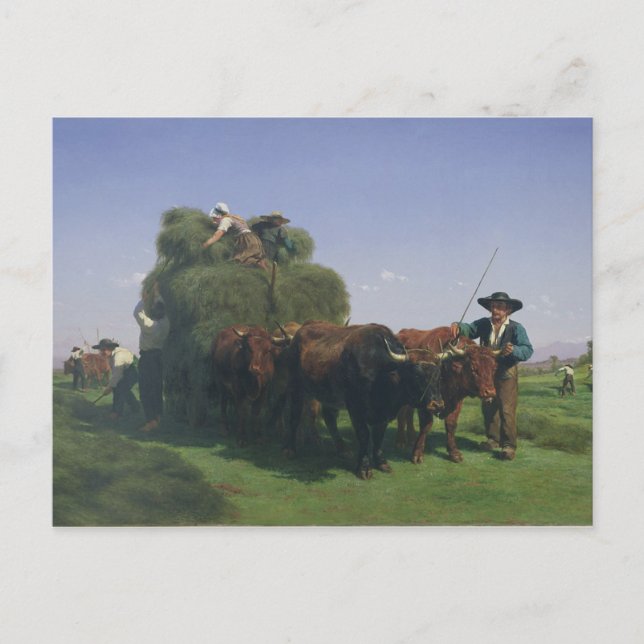 Haymaking, Auvergne Postcard (Front)