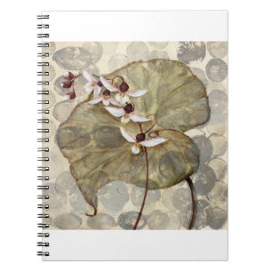 HAZ24 Amazonia 2.tif Notebook