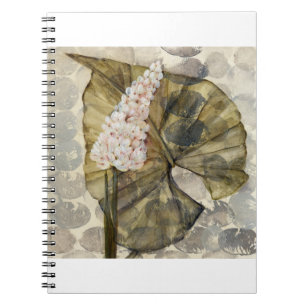 HAZ25 Amazonia 3.tif Notebook