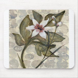 HAZ26 Amazonia 4.tif Mouse Mat