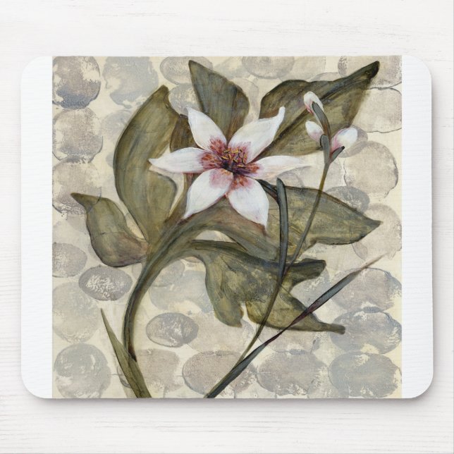 HAZ26 Amazonia 4.tif Mouse Mat (Front)