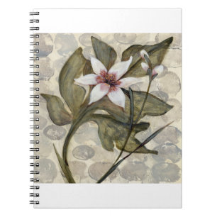HAZ26 Amazonia 4.tif Notebook