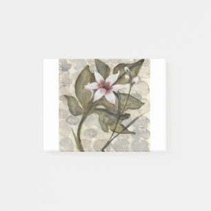 HAZ26 Amazonia 4.tif Post-it Notes