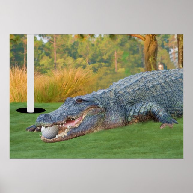 Hazardous Lie Golfing Alligator Print (Front)